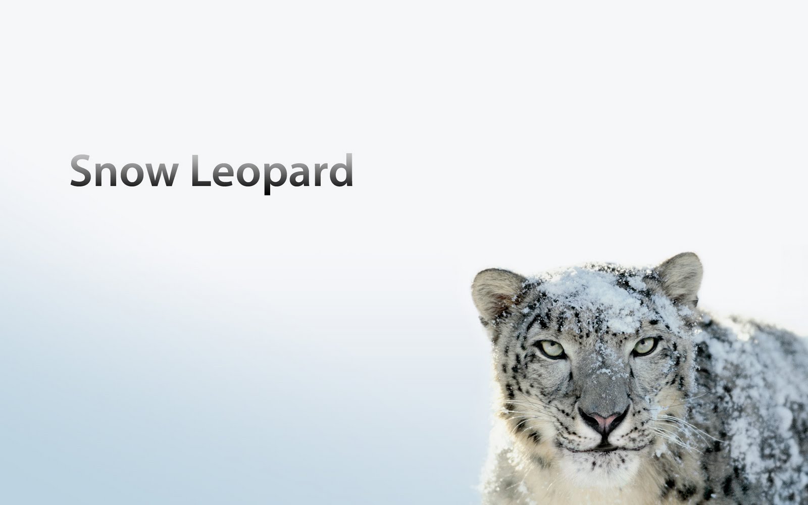 Download mac snow leopard full