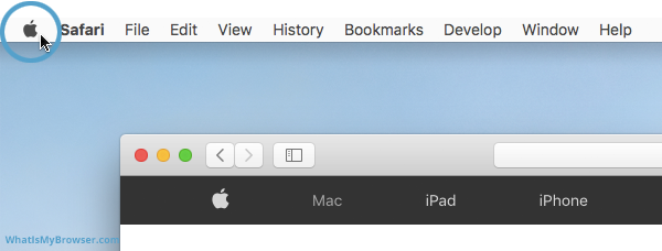 Download safari for mac 10.5.8